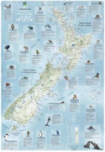 Where to see Wildlife – Aotearoa New Zealand