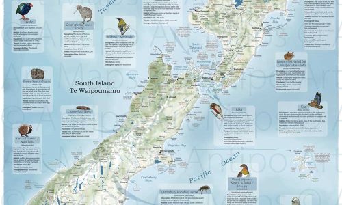 Where to see Wildlife – Aotearoa New Zealand