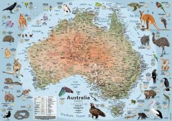 Australia – Wildlife